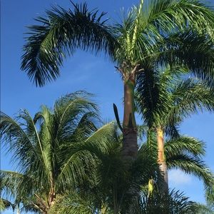 Meet your Posher, Gina